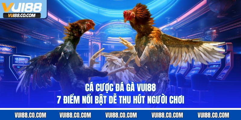 Cá Cược Đá Gà Vui88 – 7 Điểm Nổi Bật Dễ Thu Hút Người Chơi