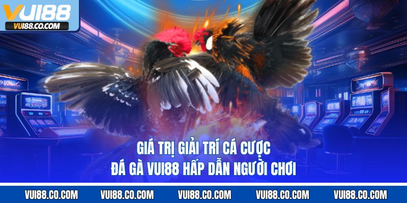 giá trị giải trí cá cược đá gà vui88 hấp dẫn người chơi